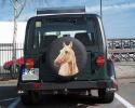Car with a horse